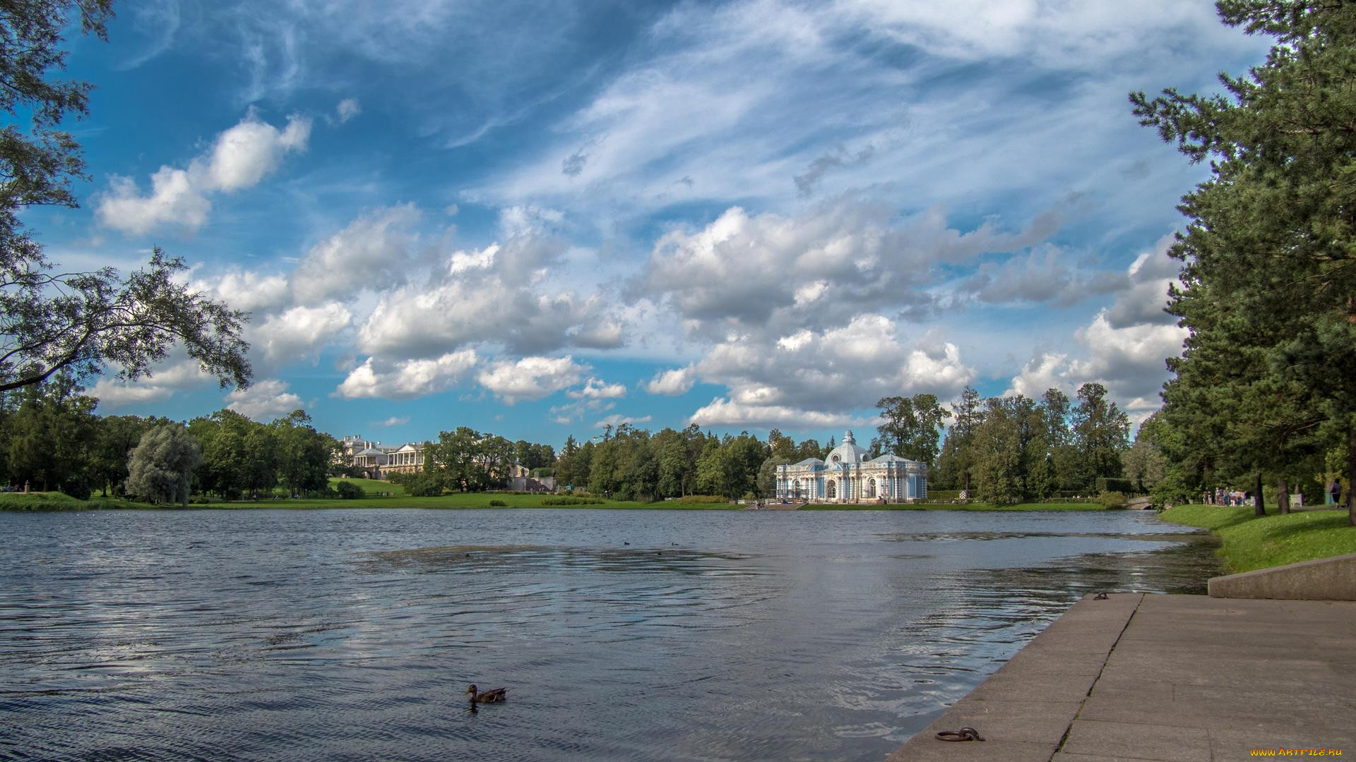 , , the, catherine, palace, st, petersburg, tsarskoye, selo